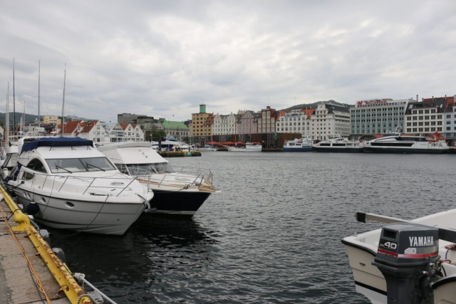 Cruisers in the Harbor