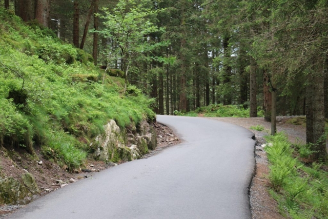 Mountaintop trail of Fløyen